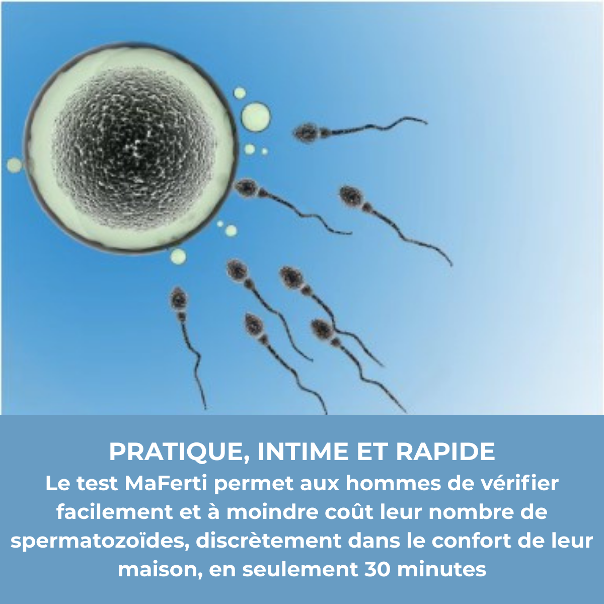 Kit test de fertilité masculine